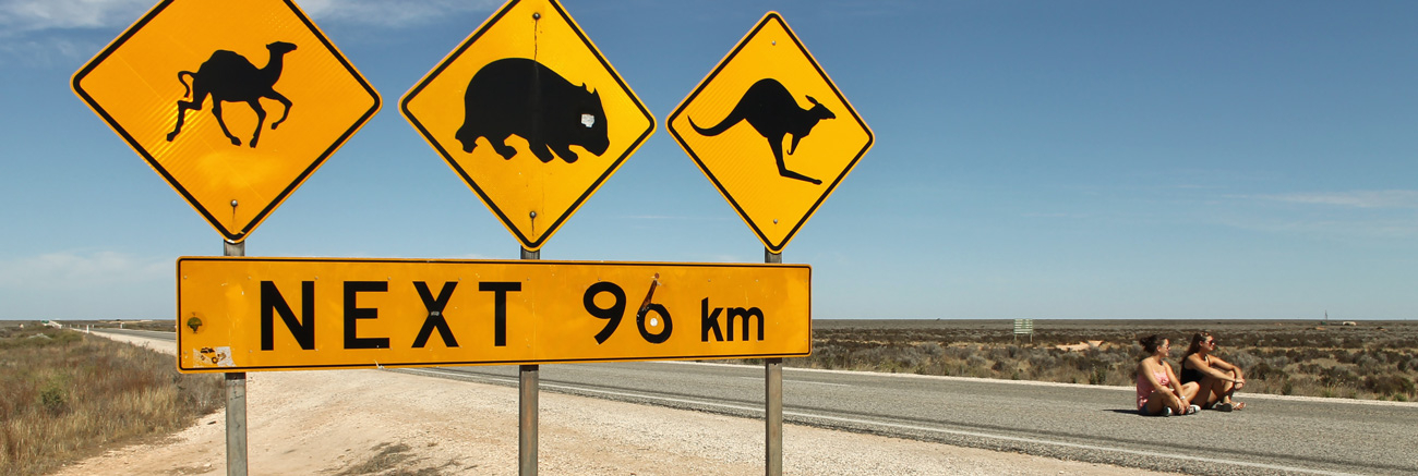 signage_banner_1.jpg